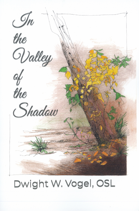 http://Image%20of%20In%20the%20Valley%20of%20the%20Shadow%20Book%20Cover